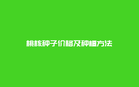 桃核种子价格及种植方法