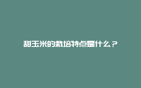 甜玉米的栽培特点是什么？