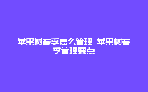 苹果树春季怎么管理 苹果树春季管理要点