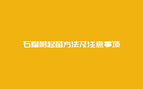 石榴树起苗方法及注意事项