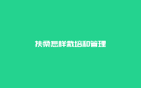 扶桑怎样栽培和管理