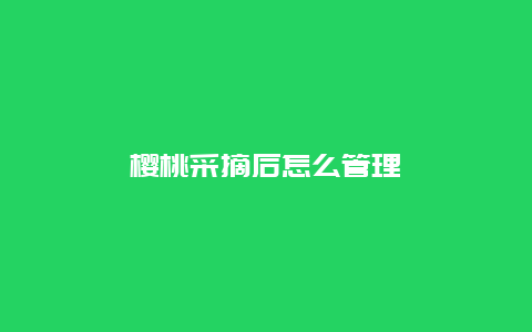 樱桃采摘后怎么管理