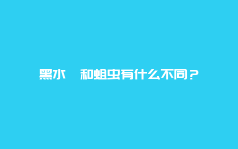 黑水虻和蛆虫有什么不同？