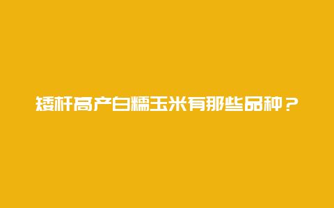 矮杆高产白糯玉米有那些品种？