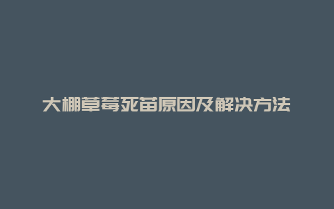 大棚草莓死苗原因及解决方法