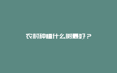 农村种植什么树最好？