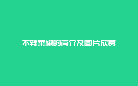 不辣菜椒的简介及图片欣赏