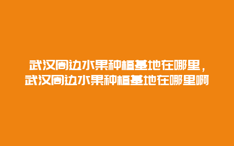 武汉周边水果种植基地在哪里，武汉周边水果种植基地在哪里啊