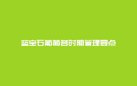 蓝宝石葡萄各时期管理要点