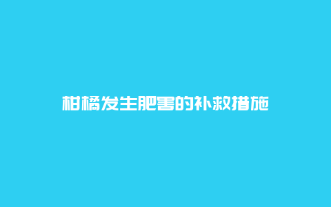 柑橘发生肥害的补救措施