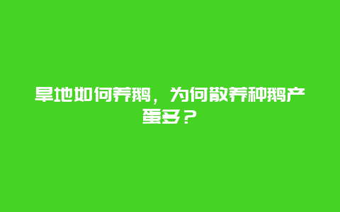 旱地如何养鹅，为何散养种鹅产蛋多？