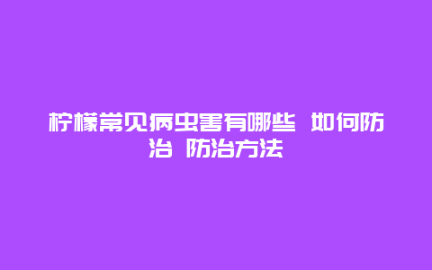 柠檬常见病虫害有哪些 如何防治 防治方法