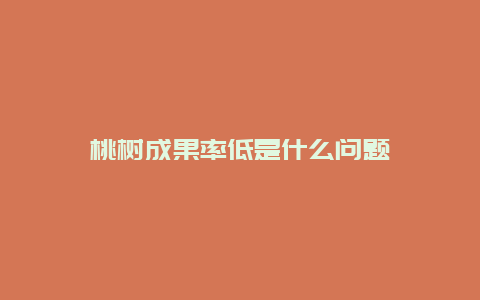 桃树成果率低是什么问题