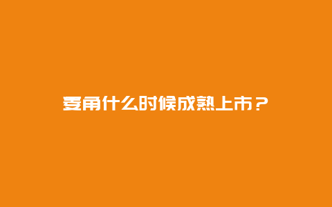 菱角什么时候成熟上市？