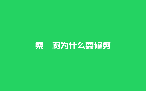 桑葚树为什么要修剪