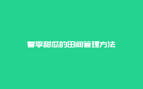 春季甜瓜的田间管理方法