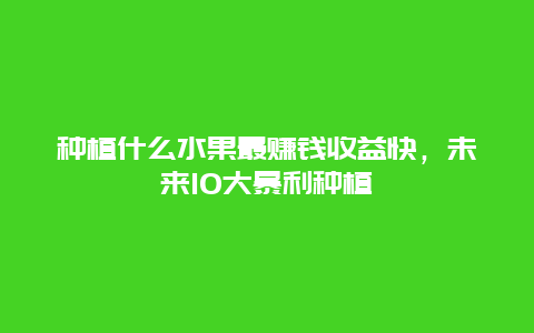 种植什么水果最赚钱收益快，未来10大暴利种植