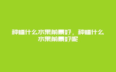 种植什么水果前景好，种植什么水果前景好呢