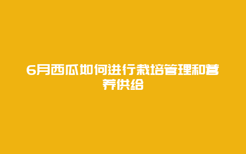 6月西瓜如何进行栽培管理和营养供给