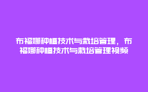 布福娜种植技术与栽培管理，布福娜种植技术与栽培管理视频