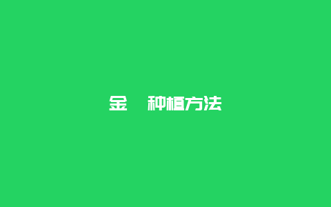 金桔种植方法