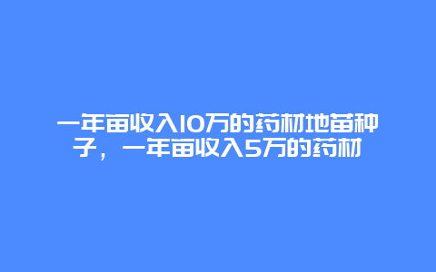 一年亩收入10万的药材地苗种子，一年亩收入5万的药材