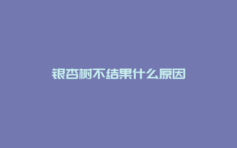 银杏树不结果什么原因