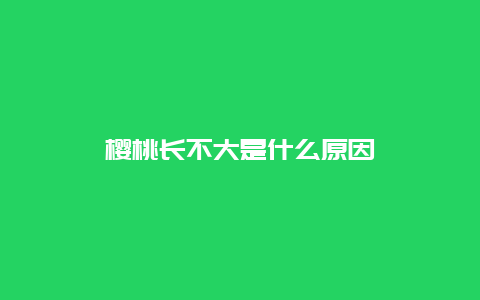 樱桃长不大是什么原因