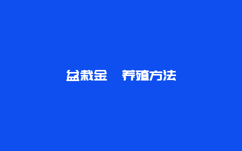 盆栽金桔养殖方法