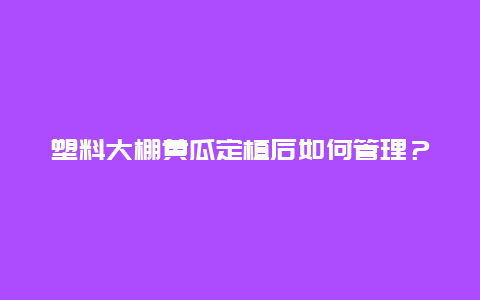 塑料大棚黄瓜定植后如何管理？