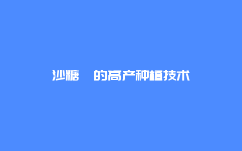 沙糖桔的高产种植技术