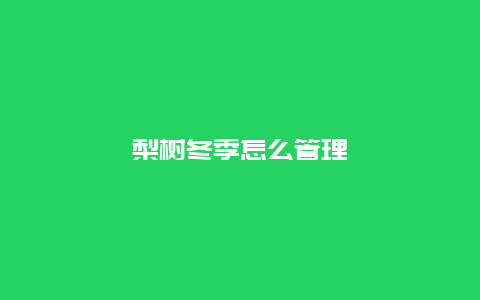 梨树冬季怎么管理