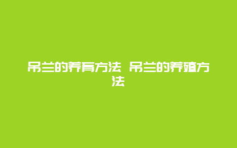 吊兰的养育方法 吊兰的养殖方法