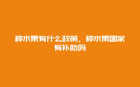 种水果有什么政策，种水果国家有补助吗