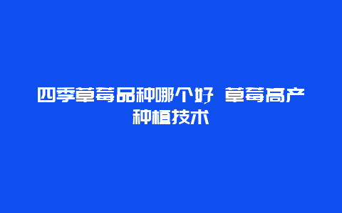 四季草莓品种哪个好 草莓高产种植技术