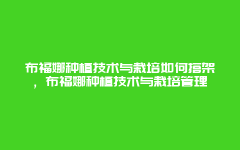 布福娜种植技术与栽培如何搭架，布福娜种植技术与栽培管理