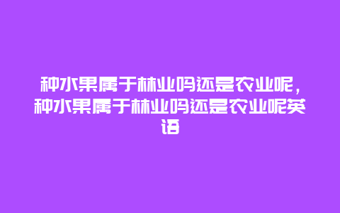 种水果属于林业吗还是农业呢，种水果属于林业吗还是农业呢英语