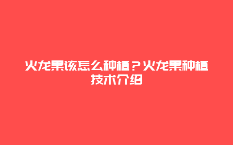 火龙果该怎么种植？火龙果种植技术介绍