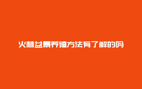 火棘盆景养殖方法有了解的吗