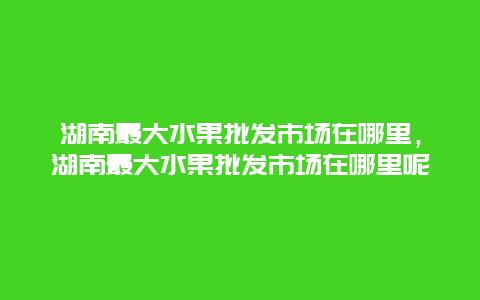 湖南最大水果批发市场在哪里，湖南最大水果批发市场在哪里呢