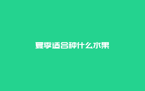 夏季适合种什么水果