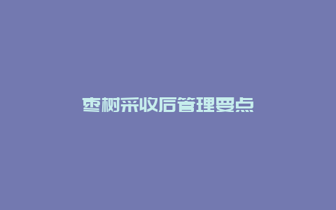 枣树采收后管理要点