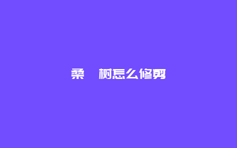 桑葚树怎么修剪