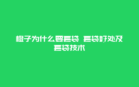 橙子为什么要套袋 套袋好处及套袋技术