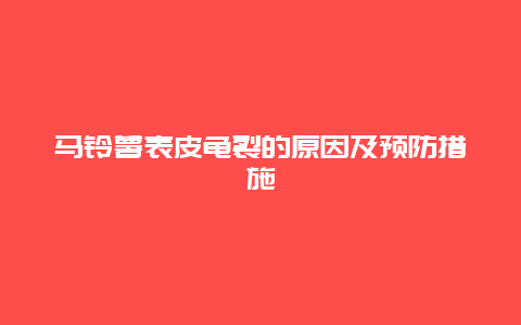 马铃薯表皮龟裂的原因及预防措施