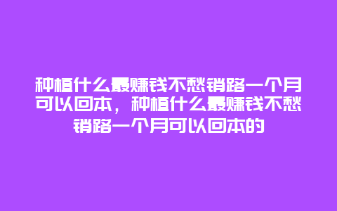 种植什么最赚钱不愁销路一个月可以回本，种植什么最赚钱不愁销路一个月可以回本的