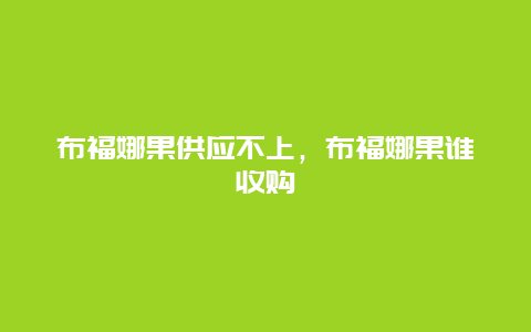 布福娜果供应不上，布福娜果谁收购