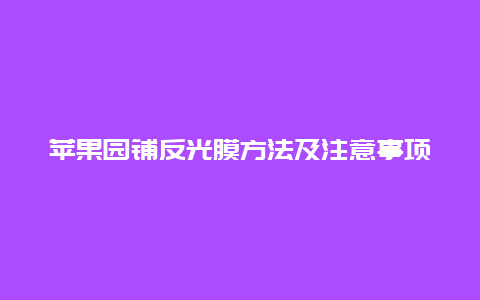 苹果园铺反光膜方法及注意事项