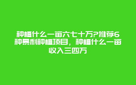 种植什么一亩六七十万?推荐6种暴利种植项目，种植什么一亩收入三四万