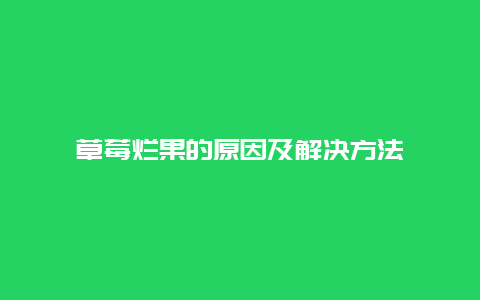 草莓烂果的原因及解决方法